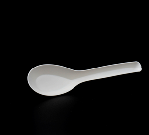 Eco Biodegradable Chinese Spoon