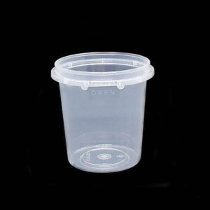 FPT MS SL8 Container