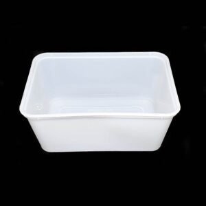 MS 1000 (PE) Frozen Container