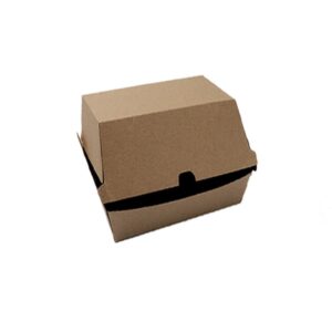 Bio Board Burger Box